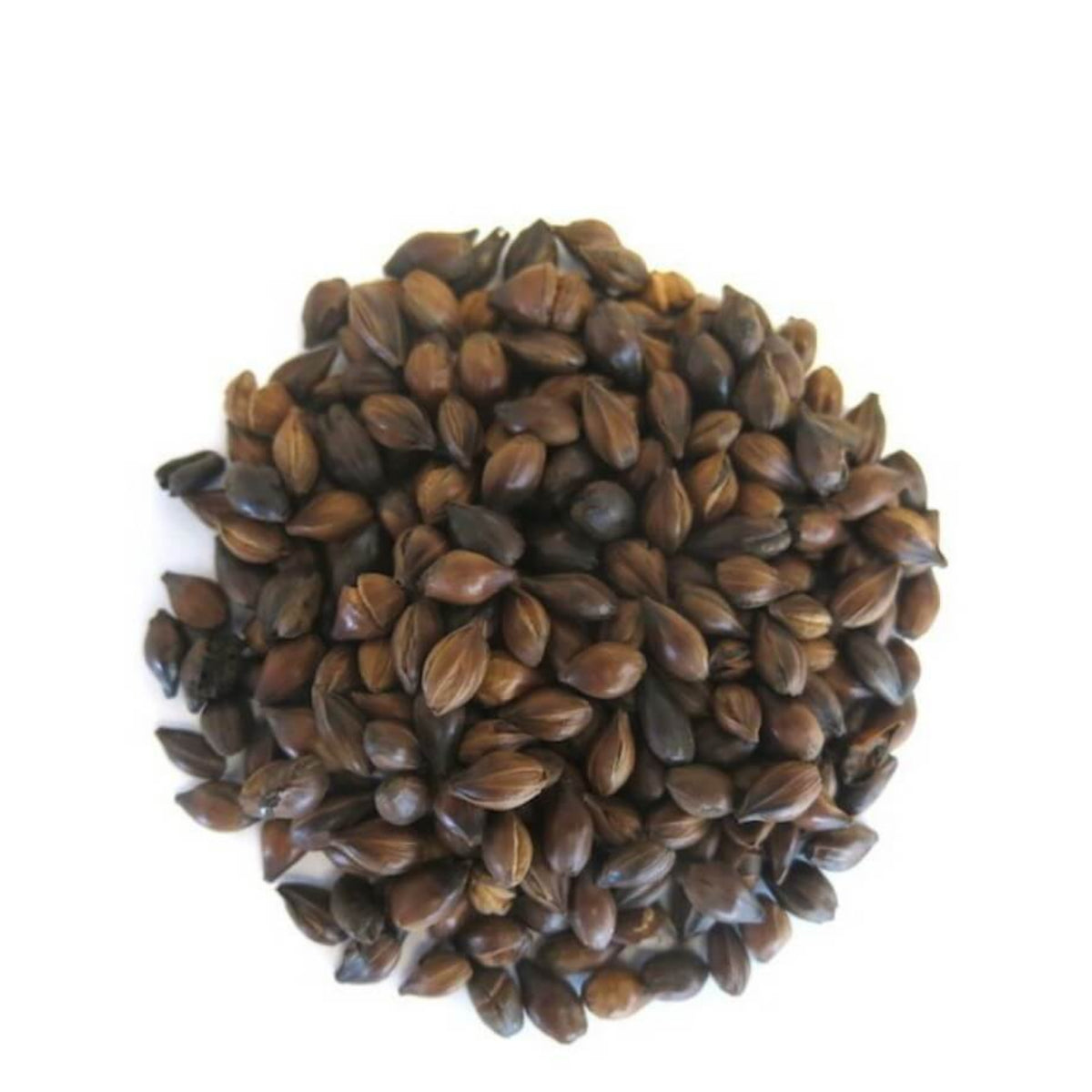 Thé d’Orge/Barley tea ‘Mugicha’